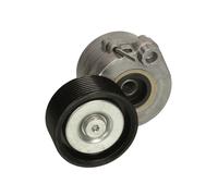 Tenditore della cinghia Poly-V BTA B05-01-021