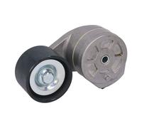 Tenditore della cinghia Poly-V BTA B05-AG-005