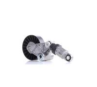 INA 534 0033 10 Braccio tenditore, Cinghia Poly-V