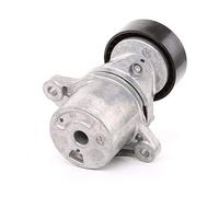 Tenditore INA - 534055010