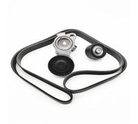 Tenditore Sostituzione Cinghia Per BMW N52 OE 11288620022 11288620023 11287628658 8PK1786 Puleggia Guida Tendicinghia Motore(Silver)