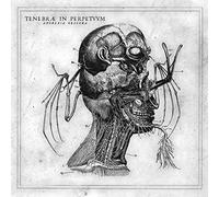 Tenebrae In Perpetuu - Anorexia Obscura