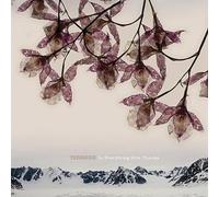 Tenebre - in Everything Give Thanks [Import]