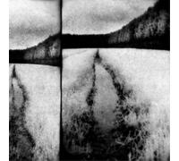 Tenebrous Liar The Cut (Vinyl LP) 12" Album