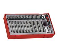 Teng Metrico Punta Esagonale Set 23 Pezzi 1.3cm Drive Corto E Lungo Tray TTHEX23