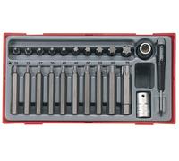 Teng Punte Torx Presa Set 23 Pezzi 1.3cm Drive Corto E Lungo IN Un Tray TTTX23