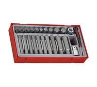 Teng - Set Punte dinamometriche TTHEX23, 23 pezzi