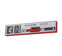 Teng Tools Set di chiavi dinamometriche per azionamento 3/8IN 22 pezzi TTX3892