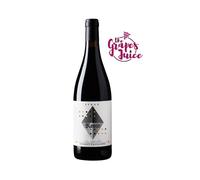 TENIMENTI D'ALESSANDRO ROSSO SYRAH 2020 VINO ROSSO BIO TOSCANA IGT