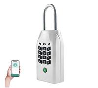 TenixLox Smart Key Lock Box con app e impronte digitali, scatola di sicurezza da appendere per chiavi da esterno (Argento)