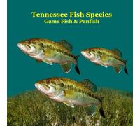Tennessee Game Fish and Panfish Species Kids Book: Great Book About the Different Types of Fish in Tennessee