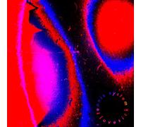 Tennis System - Lovesick