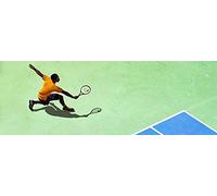 Tennis World Tour: Roland Garros Edition (Nintendo Switch)