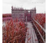 Tenniscoats - Tan-Tan Therapy