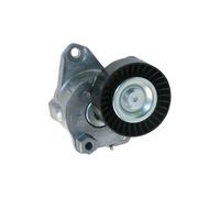 Tensioner Pulley V-RibBed Belt compatibile con modelli SportScoupe di Classe C 04862624AA A2722000070 A2722000270 68020886AA