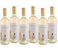 TENUTA CARRETTA VINO BIANCO CAYEGA ROERO ARNEIS 2022 DOCG 75 CL 6 BOTTIGLIE