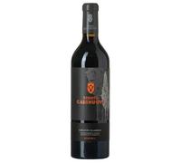 Tenuta Casenuove Chianti Classico DOCG Riserva 2019 0,75 ℓ
