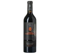 Tenuta Casenuove Chianti Classico DOCG Riserva 2019 0,75 l