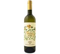 Tenuta Cocci Grifoni Vino San Basso Passerina Marche Igt - 6 bottiglie da 750 ml