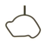 TENUTA, CORPO FARFALLA