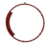 TENUTA, CORPO FARFALLA