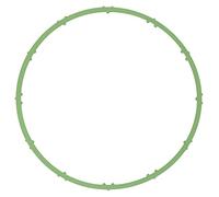 TENUTA, CORPO FARFALLA