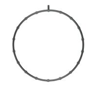 TENUTA, CORPO FARFALLA