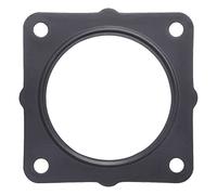 TENUTA, CORPO FARFALLA