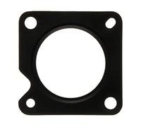 TENUTA, CORPO FARFALLA