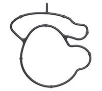 TENUTA, CORPO FARFALLA