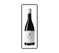 Tenuta di Carleone Il Guercio 2023
