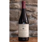 Tenuta Pongelli 21 Rosso Piceno Fratelli Bucci 75c Sangiovese Montepulciano 13%