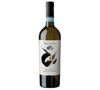 Tenuta Sant'Antonio Pinot Grigio delle Venezie DOC 2022 0,75 ℓ