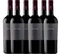 Tenuta Sant'Antonio Scaia rosso pack 6