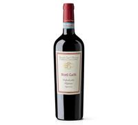 Tenuta Sant'Antonio Valpolicella Ripasso Superiore Monti Garbi 2020