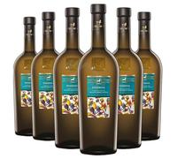 Tenuta Ulisse Passerina 2025 Terre di Chieti Igp 75 cl 6 Bottiglie