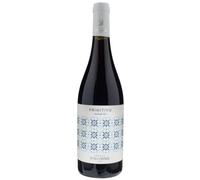 Tenuta Viglione Primitivo Maioliche 2021 Bio, Vino Rosso Puglia IGP, 13% vol, 750 ml