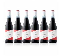 Tenute Orestiadi 6 Bottiglie Nero D'Avola 2025 Vino Rosso Siciliano, 13,5%