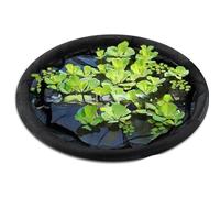 TENYELE Galleggiante Isola Pianta Protector Fish Barrier Stagno Decorazione Acqua Trasmissione Circolare Pesce Barriera Guardia