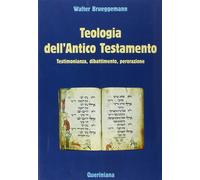 Teologia dell'Antico Testamento. Testimonianza, dibattimento, per