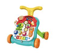 Teorema 66917 - Primi Passi Spingibile 2 in 1, Giocattolo Educativo per Bambini con Luci, Suoni e Musica, Impara a Camminare