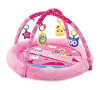 Teorema Giocattoli- Baby Palestrina Rosa Multiattività 2 in 1, per Neonato, Morbida con Sonagli Lavabili, 67323