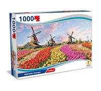 Teorema Giocattoli- Giochi di SOCIETA Puzzle Paesi Bassi, Paesaggio, 1000 Pezzi 70x50 cm, Peasi, Multicolore, 67027