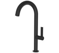 TEOREMA Miscelatore Cucina Rubinetto Monocomando a Canna Alta Nero 17818BB-T01