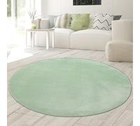Teppich-Traum Tappeto Shaggy con pelo alto e lungo | OEKO-TEX | lavabile | in verde, 200 cm rotondo