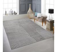 Teppich-Traum Tappeto stile moderno minimalista con sottili curve e linee delicate al tatto, durevole, indeformabile, sobrio eleganza per soggiorno, sala da pranzo, dormire, grigio, 200 x 290 cm