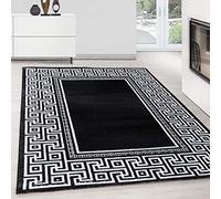 Teppium Tappeto Salotto a Pelo Corto Tappeto Soggiorno Nero 240x340 cm - Tappeto Camera de Letto Soffice e Morbido Moquette - Tappeti per Cucina Tappeto Sala Disegno Confine