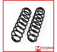 TERAFLEX Lift Coil Spring Kit - Molle posteriore 2, 5″ per Jeep JL 2 porte
