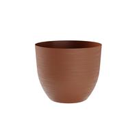 Teraplast Over clay