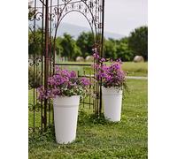 VASO TONDO VARI COLORI DISPONIBILI Ø 38 CM H 65 O 80 CM MOD. STEM